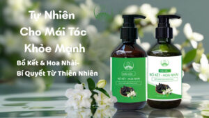 Bồ Kết Hoa Nhài