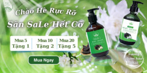 Combo Dầu Gội Thảo Mộc Hoa Nhài