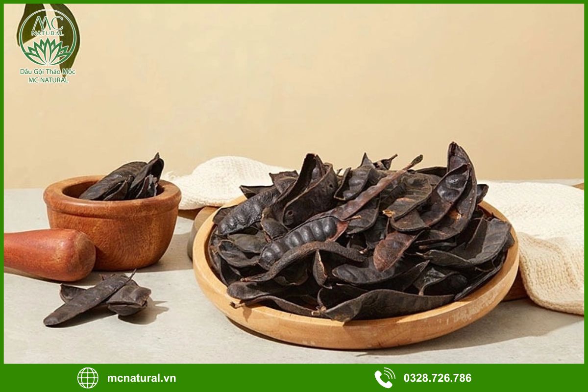 Bồ kết là gì? Thành phần tự nhiên có lợi cho tóc