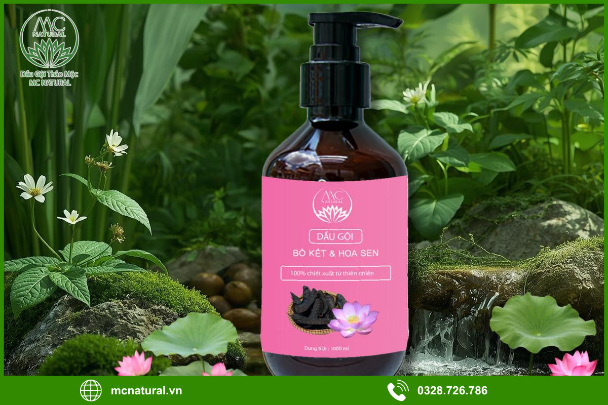 Cách chọn dầu gội bồ kết phù hợp cho nữ