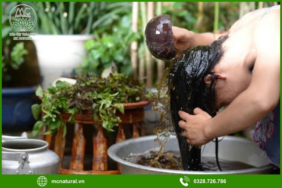 Cách gội đầu bằng dầu gội bồ kết sạch gàu mà không khô tóc 