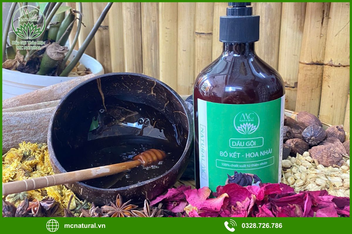 Dầu gội bồ kết có thật sự giúp giảm gàu không?