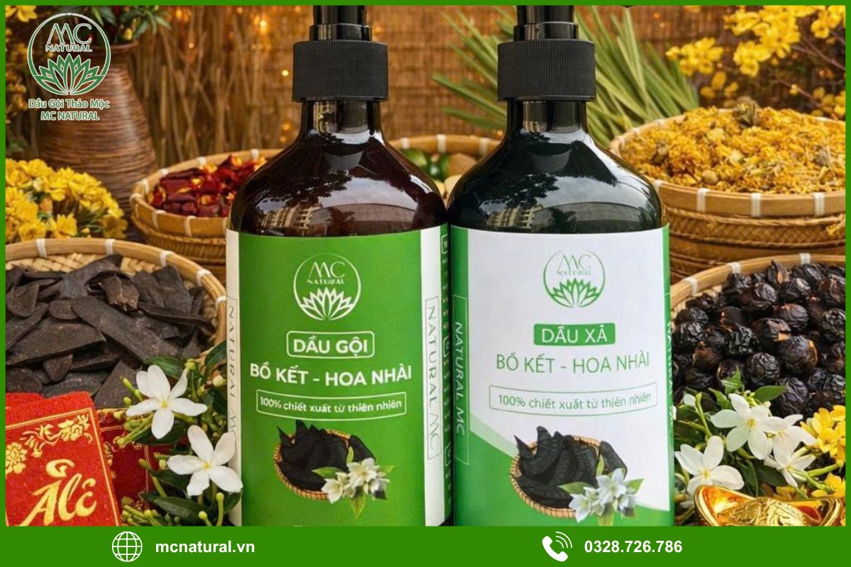 Dầu gội bồ kết là gì? Thành phần và đặc tính nổi bật