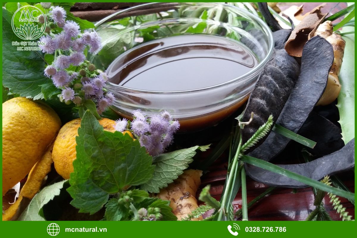 Thành phần chính trong bồ kết và cơ chế hoạt động