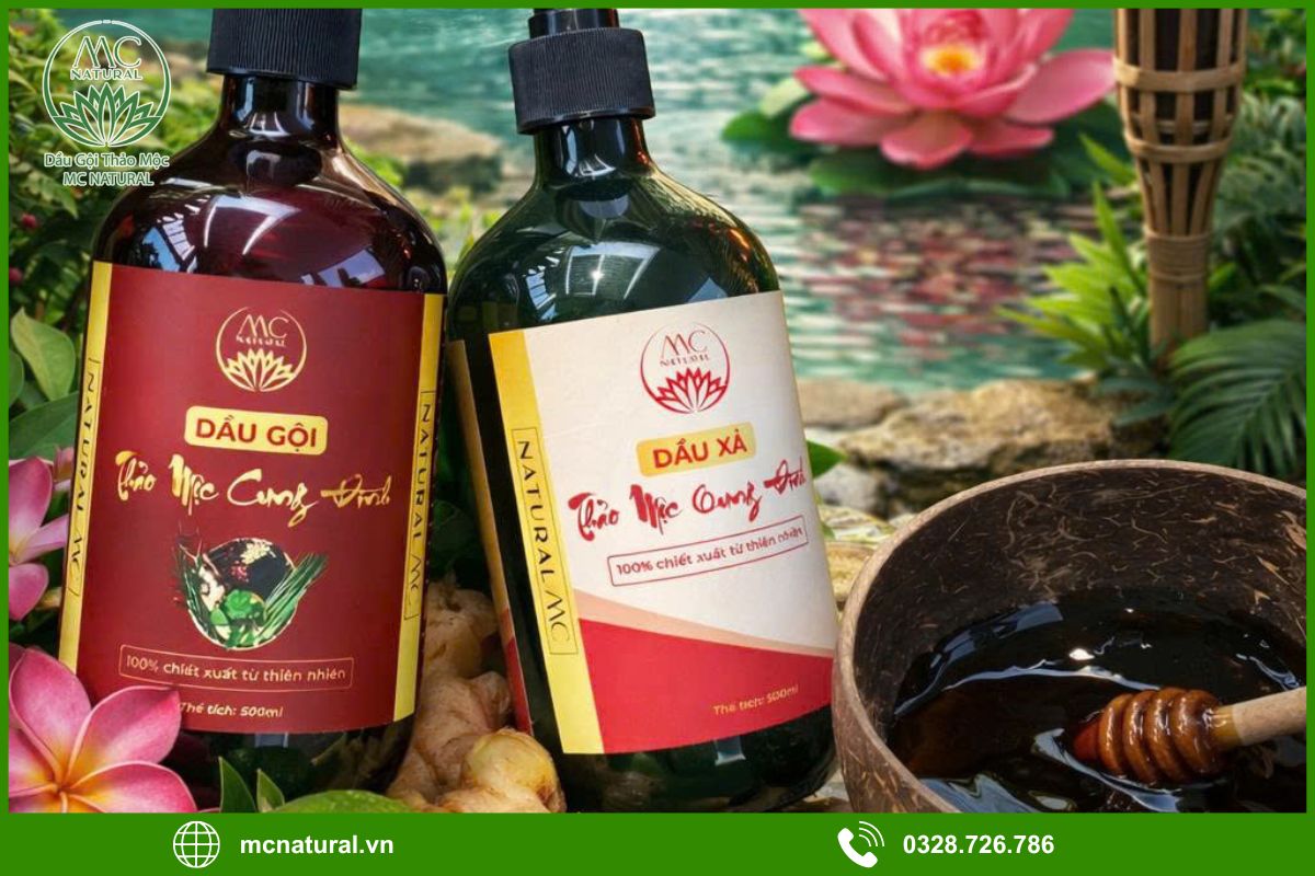 Giới thiệu dịch vụ gia công dầu gội bồ kết cho spa