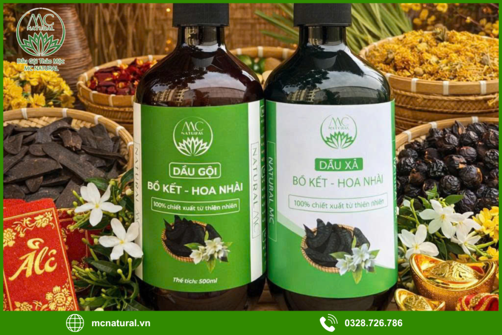 Giới thiệu dịch vụ gia công dầu gội bồ kết không sulfate