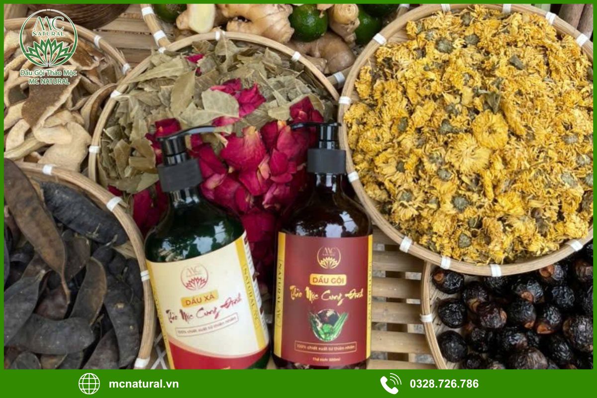 Giới thiệu dịch vụ gia công dầu gội bồ kết thảo mộc