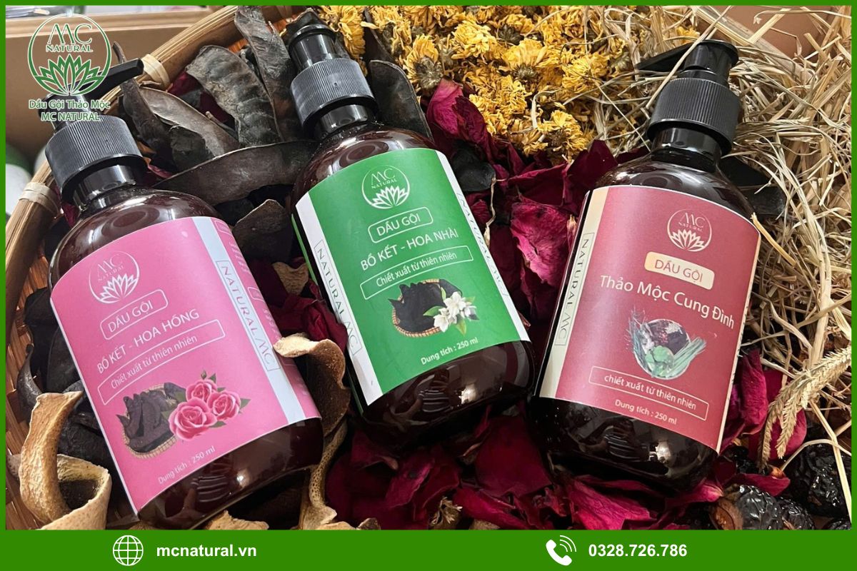 Gội đầu bằng bồ kết có tác dụng gì?