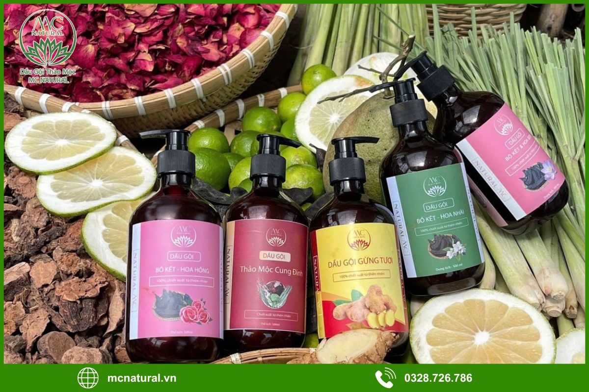 MC Natural - Công ty gia công dầu gội bồ kết thảo mộc uy tín
