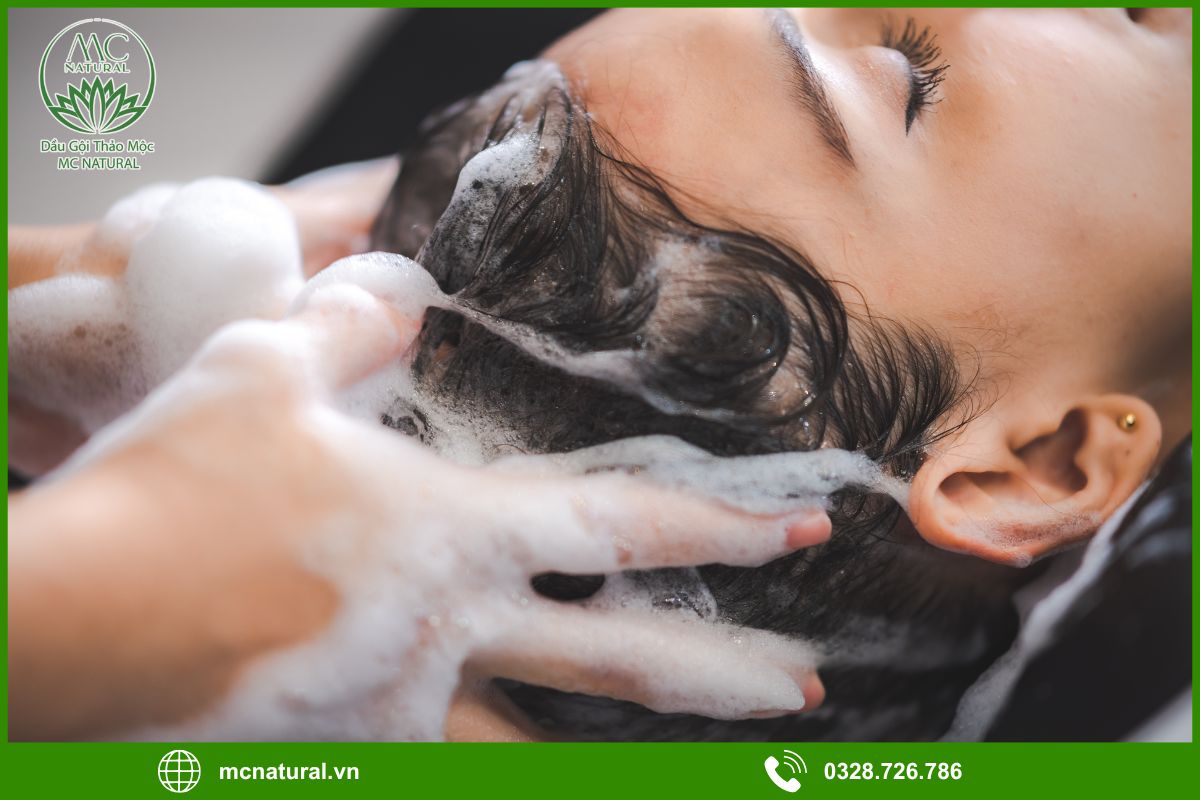 Nên chọn dầu gội bồ kết hay dầu gội hóa chất?