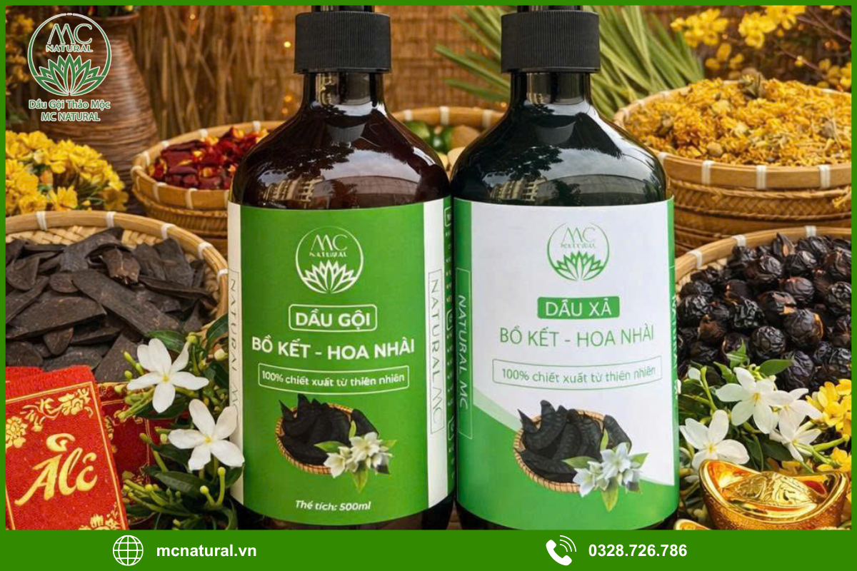 Những lợi ích lâu dài khi sử dụng dầu gội bồ kết trong liệu trình dưỡng sinh