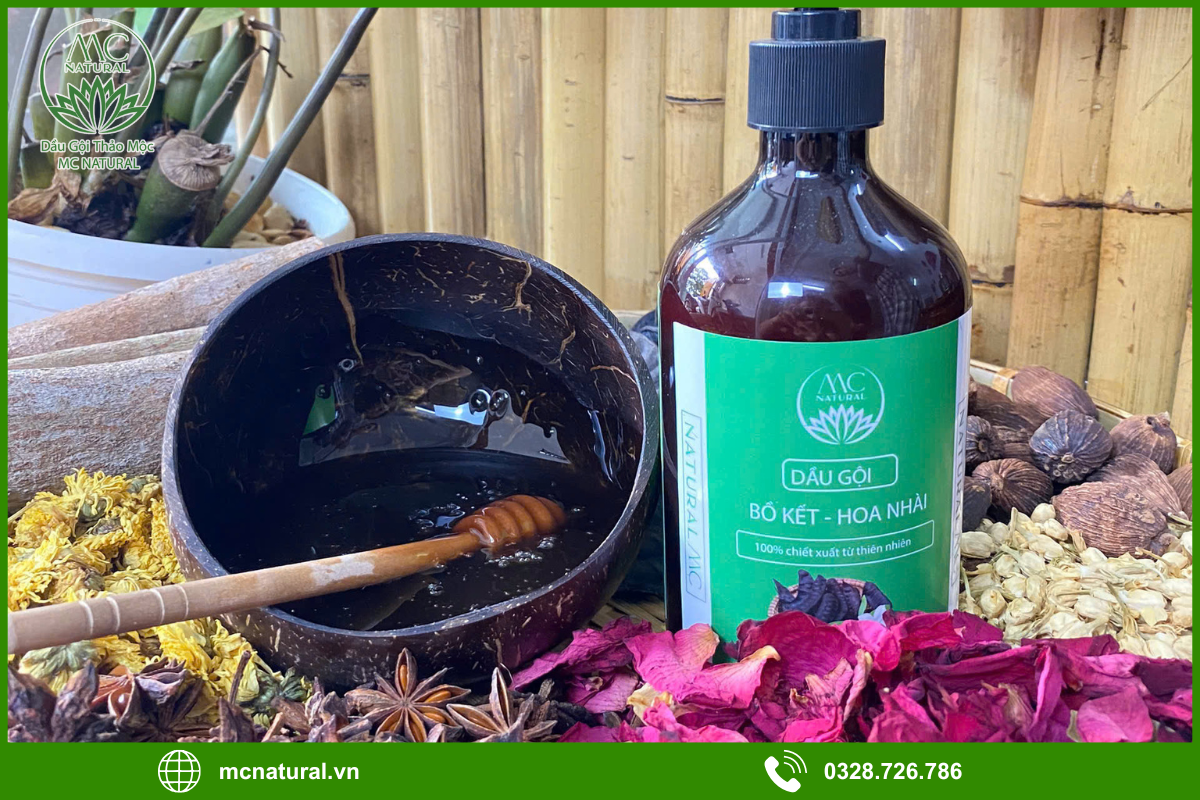 Những tiêu chí chung khi chọn dầu gội bồ kết cho cả nam và nữ