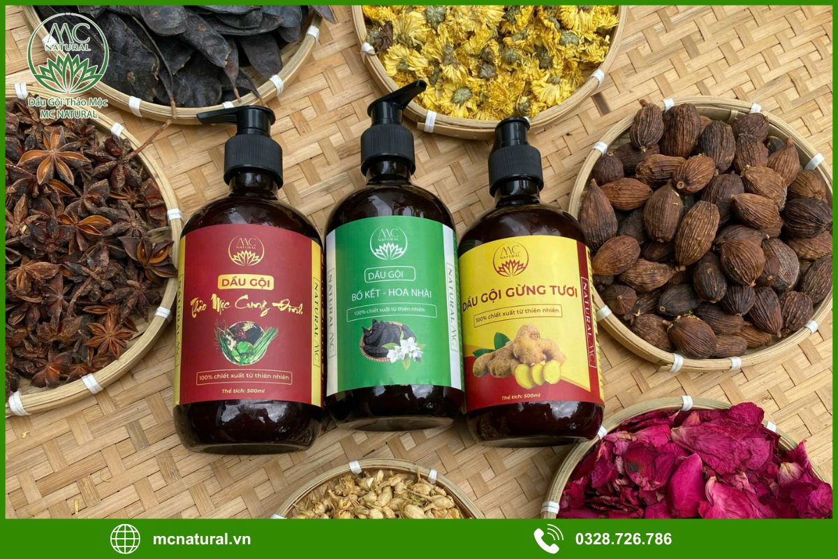 Quy trình gia công dầu gội bồ kết cho spa của MC Natural