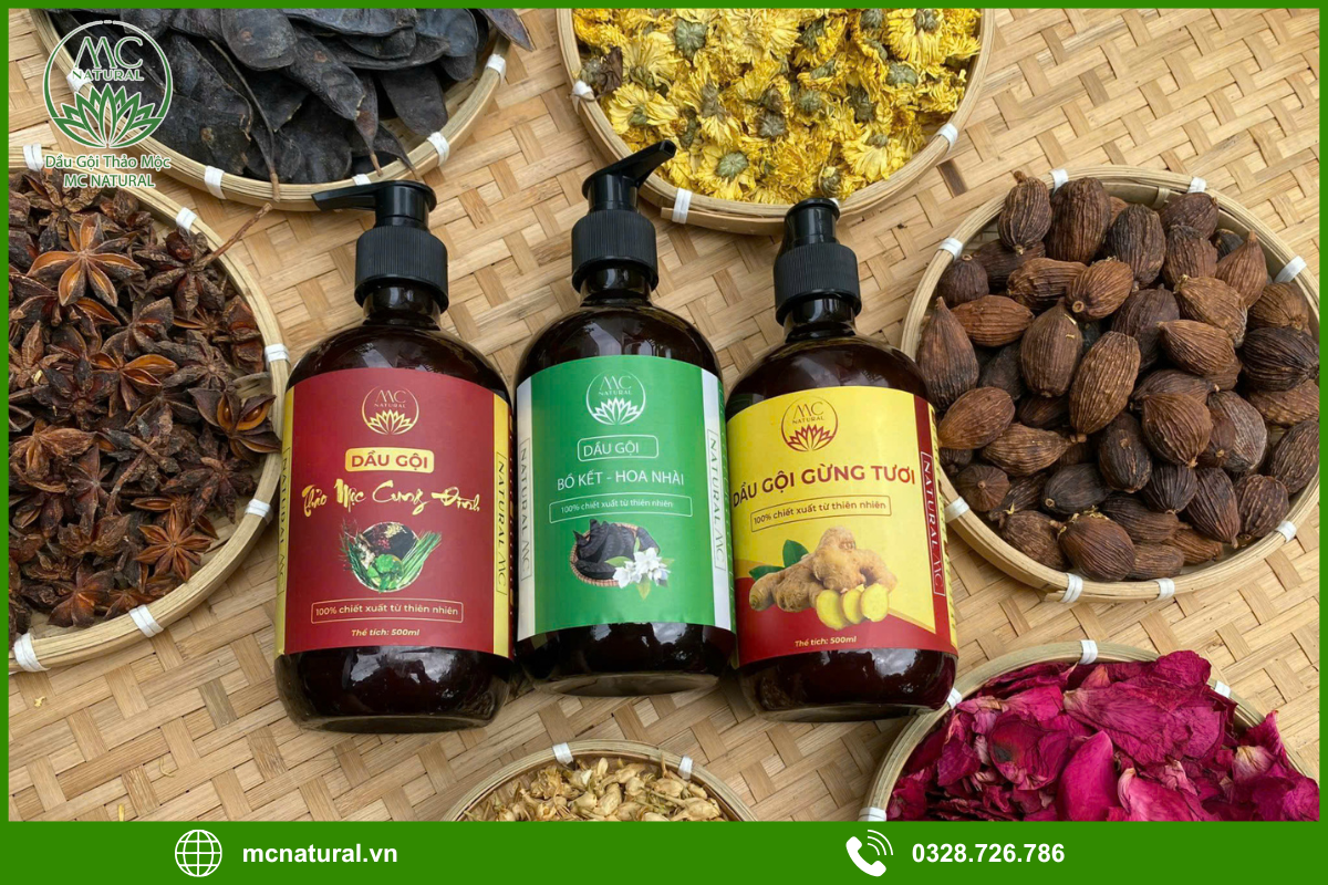 Quy trình gia công dầu gội bồ kết không sulfate của MC Natural