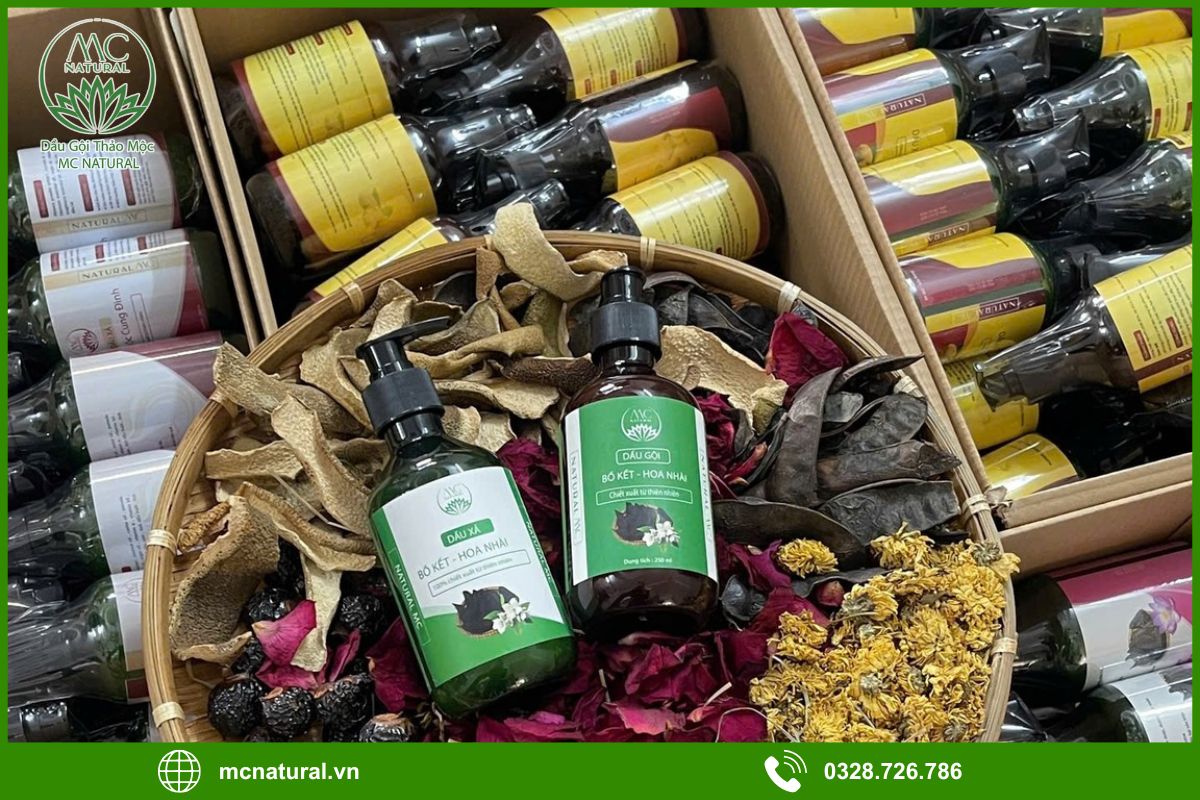 Quy trình gia công dầu gội bồ kết thảo mộc của MC Natural 