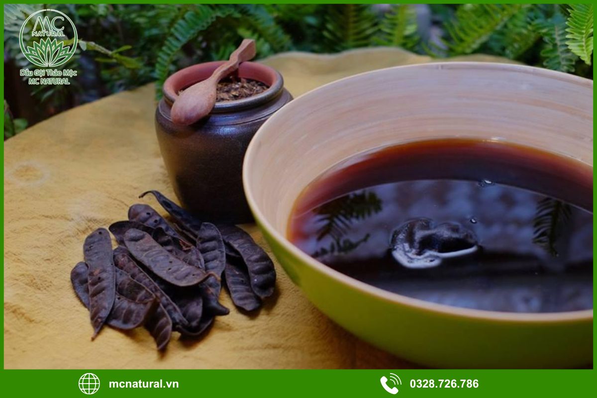 Vì sao dầu gội thảo mộc bồ kết ngày càng được ưa chuộng?