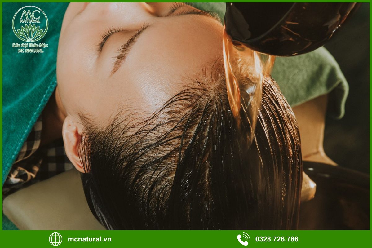 Vì sao gội đầu bằng bồ kết giúp tóc dày và khỏe?